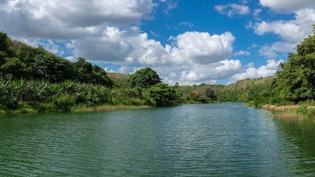 Punta Cana: Full Day Boat Trip to Catalina Island with Lunch