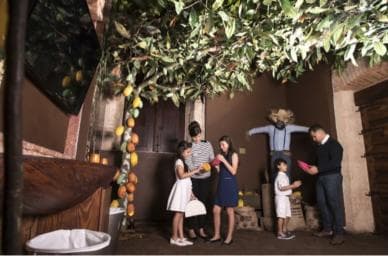 Santo Domingo: Chocolate Tour + Optional Workshops - Photo 3 (Gallery view)