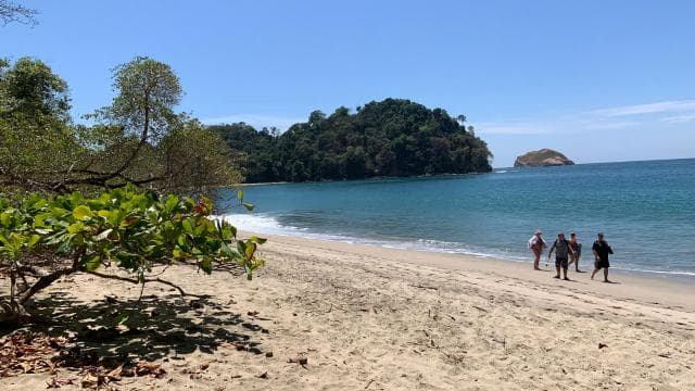 Manuel Antonio National park: All inclusive 8 hours tour