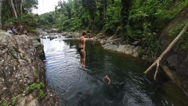 From San Juan: El Yunque Forest Hike & Ziplining Combo Tour