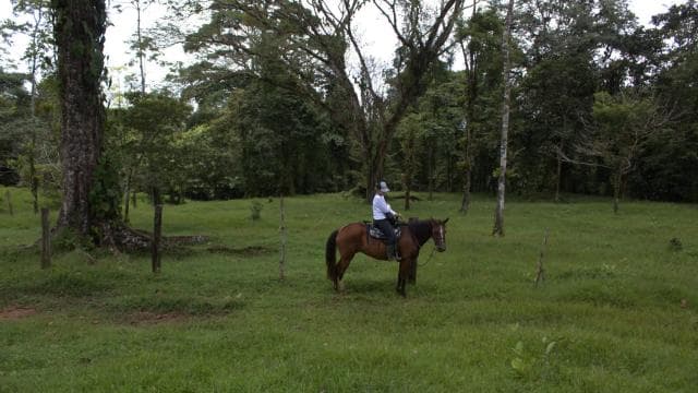 Private Horseback Riding - Río Celeste - Photo 2 (Gallery view)