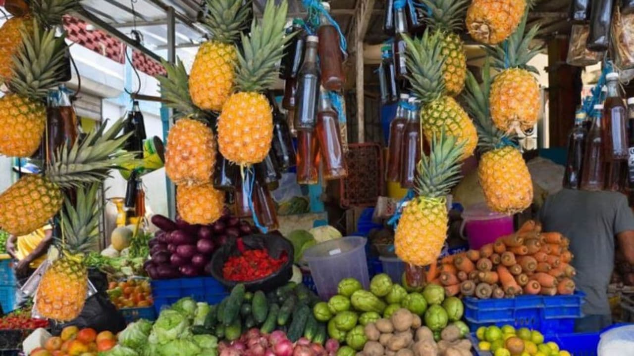 Small Group: Half Day Dominican Republic Cultural Tour - Photo 3 (Gallery view)