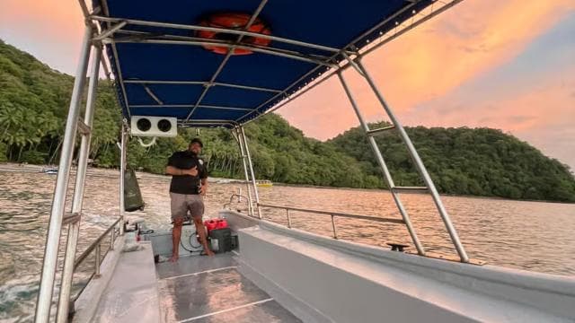 From Playa Pochote: Tortuga Island Private Tour