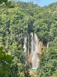 Las Terrenas: El Limón Waterfall Trekking Tour in Samana
