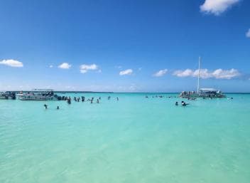 Excursion tout compris sur l'île Saona depuis Punta Cana : déjeuner et bar ouvert - Photo 4 (Gallery view)