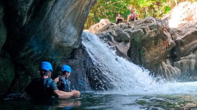 From San Juan: El Yunque National Rainforest Half-Day Tour - Dominican Republic