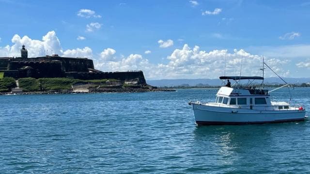 ESPERIENZA IN SPIAGGIA | Baia privata di San Juan "Party Boat". - Photo 4 (Gallery view)