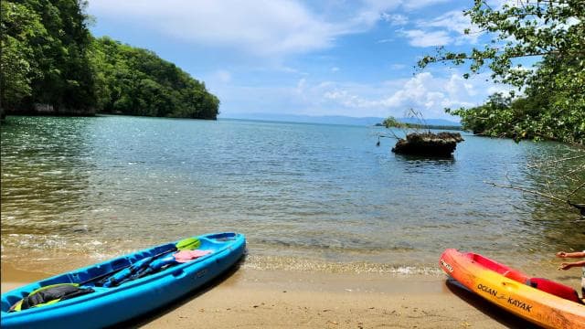 Sabana de la Mar: Private Los Haitises Hike and Kayak - Photo 4 (Gallery view)