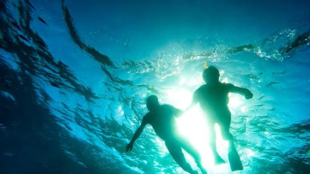 Punta Cana: Catalina Island Snorkeling Tour with Lunch