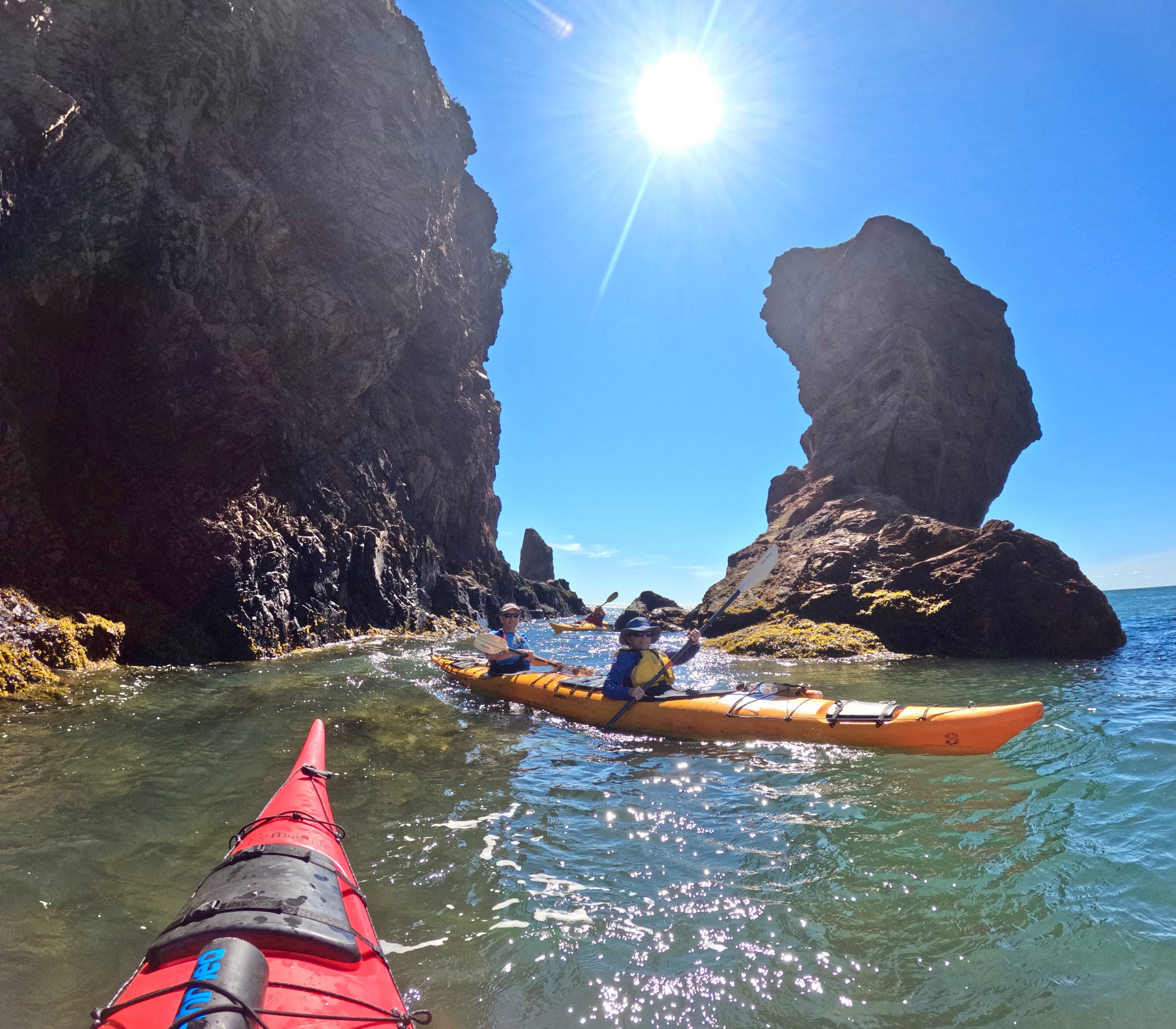 Private: Kayak Adventure at Los Haitises Sunrise Exploration - Photo 4 (Gallery view)
