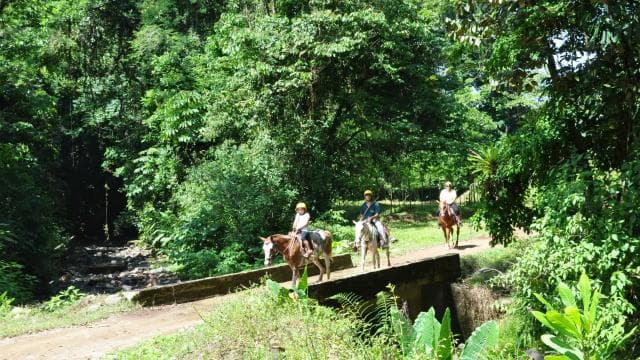 Quepos: Horseback Riding to the Shaman Waterfalls