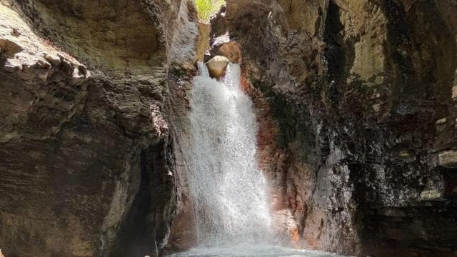 Liberia: Private La Leona Waterfall Hike