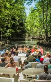 Punta Cana Los Haitises Park, Yanigua Waterfall, & Montaña Redonda Tour