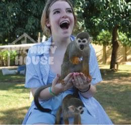 Monkey House VIP – Your Exclusive Punta Cana Experience - Photo 2 (Gallery view)