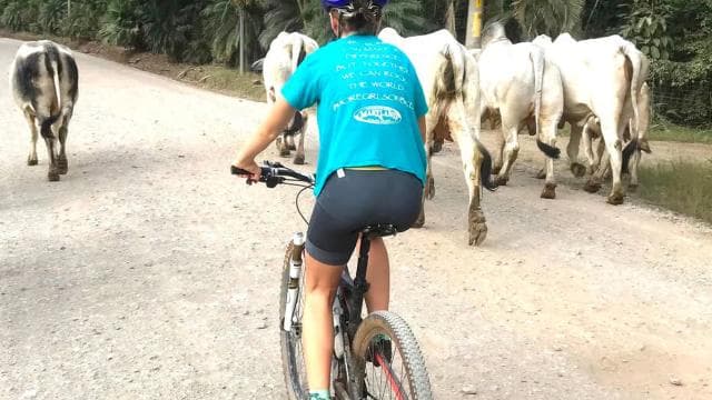 Jungle Mountain Bike Tour & Waterfall Swim
