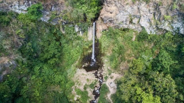 Liberia: Rainforest and Waterfalls Horseriding Tour - Photo 5 (Gallery view)
