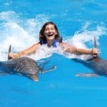 Punta Cana: Dolphin Discovery Swims and Encounters