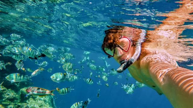 Catalina Island Tour with Snorkelling and Lunch - Photo 4 (Gallery view)