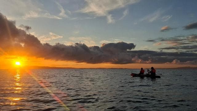 Puerto Jimenez: avanti Kayak nan Golfo Dulce + Bioluminescence - Photo 5 (Gallery view)