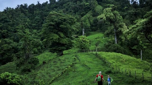 From Fortuna: 2 Day Hike to Monteverde with Hotel Transfer