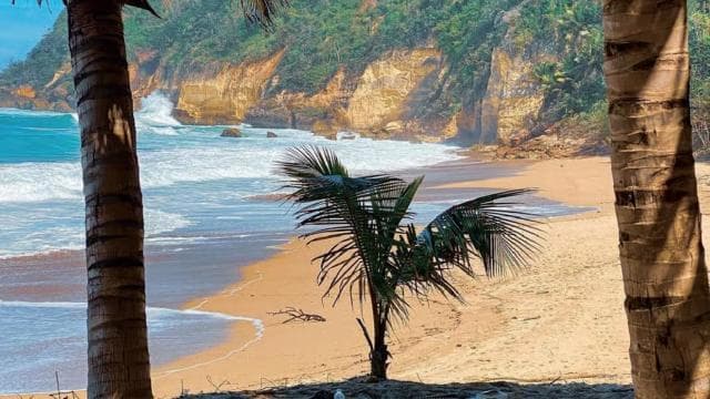 Puerto Rico: Aguadilla West Coast Beaches & Gastronomy Tour