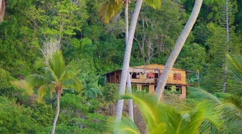 Samana Day Tour: Cayo Levantado & Rincon Bay Paradise - Photo 4 (Gallery view)
