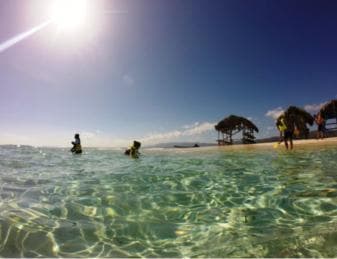 Cayo Arena: Paradise Island and Mangroves Tour