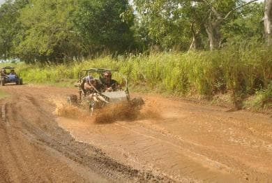 Fuga in buggy ai Caraibi – Giungla e safari a Bayahibe - Photo 4 (Gallery view)