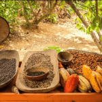 Punta Cana: Buggy Excursions with Hotel Pickup and Adventure
