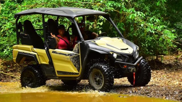 Private 4 hour Buggy Tour Beach, Ocean Views & Waterfall