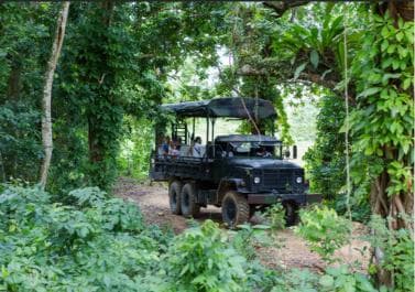 Punta Cana: Zipline, Chairlift, Buggy & Horse Ride Adventure - Photo 4 (Gallery view)