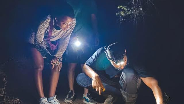 Tamarindo Night Walk