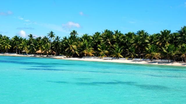 Saona Island: (4 beaches) Canto de la Playa from Punta Cana - Dominican Republic