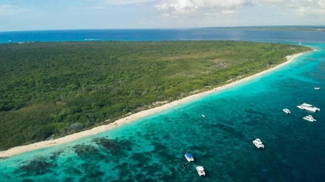 Catalina Island & Altos de Chavón From Punta Cana