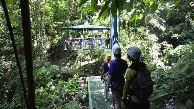 Canopy Zip line & Aerial Tram Tour Jacó