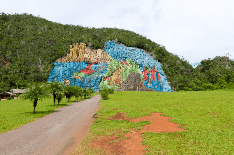 Viñales Valley Classic Car Tour