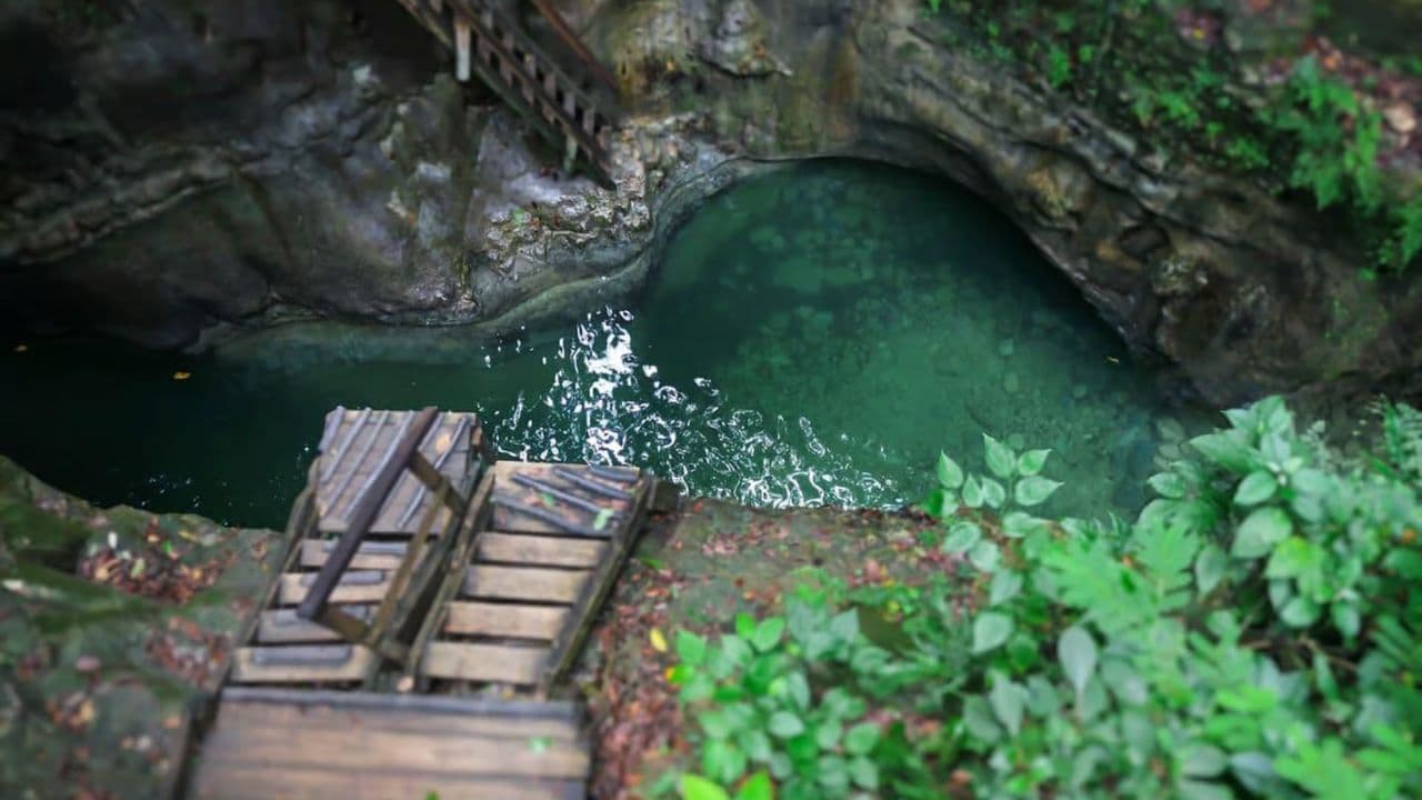 琥珀湾 - 泰诺湾 7 达马贾瓜斯瀑布 + 当地美食。 - Photo 5 (Gallery view)