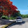Private Transfer from Riu Palace Bavaro to SDQ