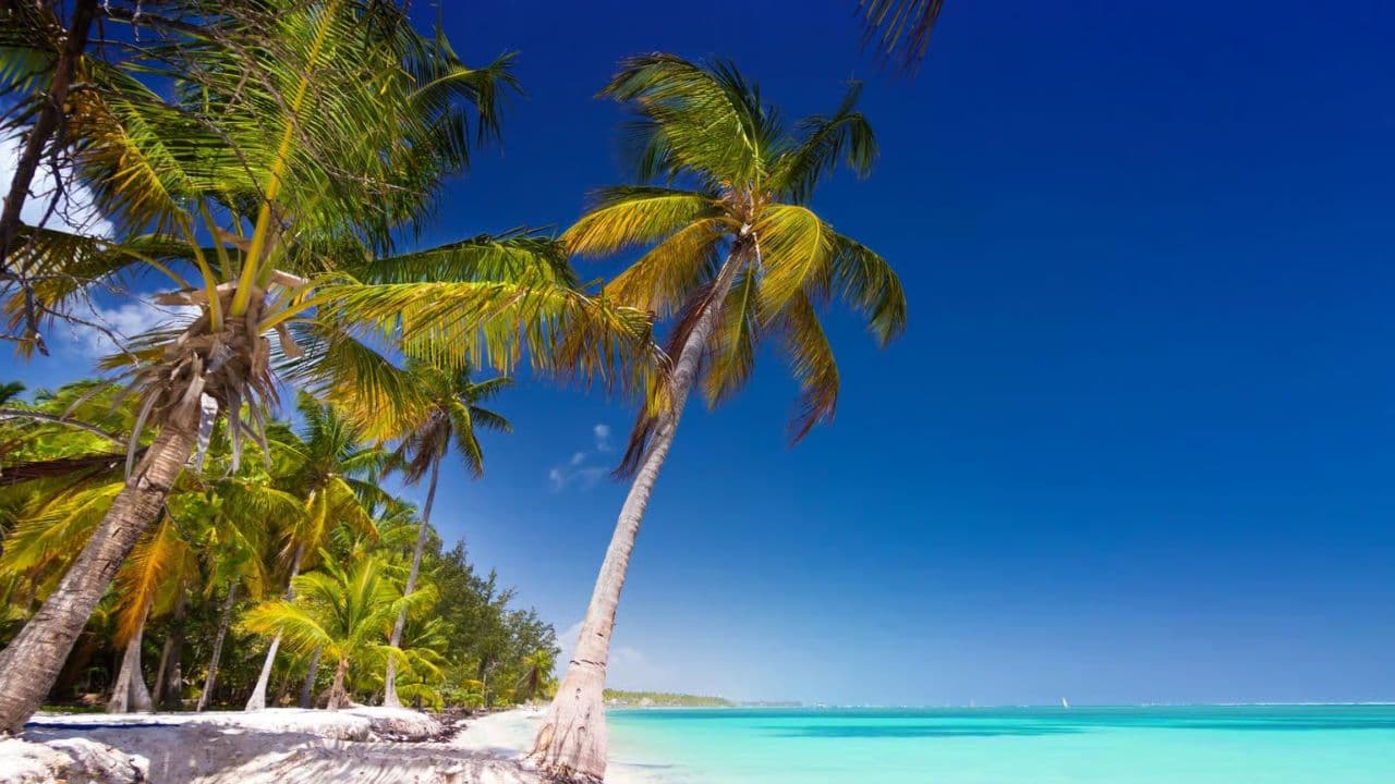 Saona Island: Catamaran tour to a Dream Beach, all inclusive