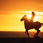 Puerto Plata: Sunset Beach Horseback Riding Tour