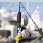 4 Hour Deep Sea Fishing Experience From Punta Cana