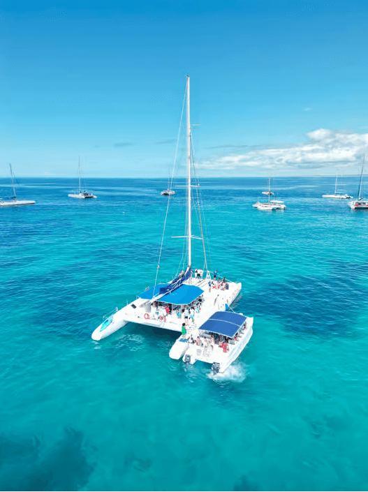 Von Santo Domingo: Tagesausflug zur Isla Saona mit Katamaranfahrt - Photo 4 (Gallery view)
