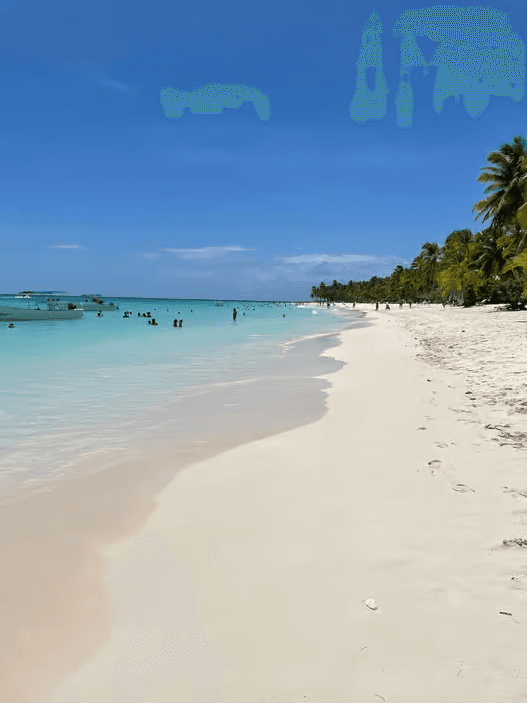 Von Santo Domingo: Tagesausflug zur Isla Saona mit Katamaranfahrt - Dominican Republic