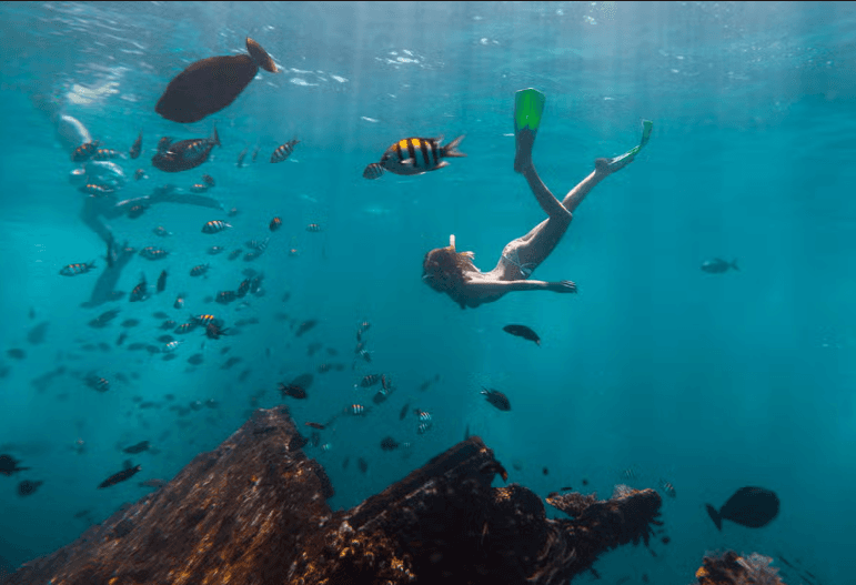 Snorkelling in Havana