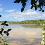 Jaragua Ulusal Parkı: Laguna de Oviedo'yu keşfedin - Photo 2 (Gallery view)