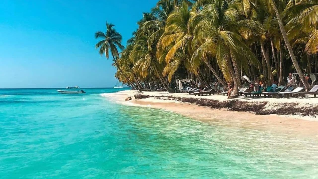 From Santo Domingo: Isla Saona Full-Day Tour with Lunch - Photo 2 (Gallery view)