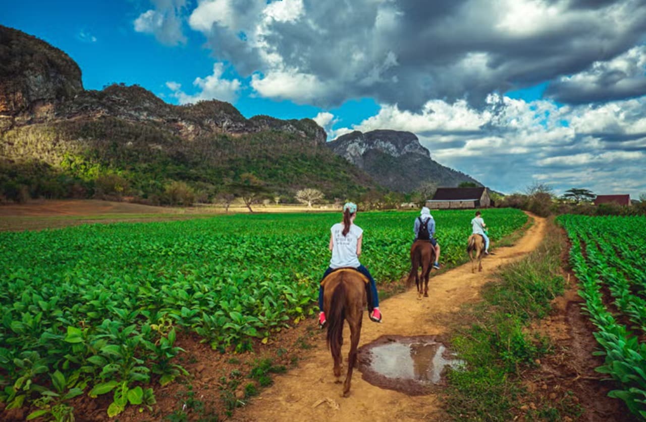 Viñales Horse Riding Tour