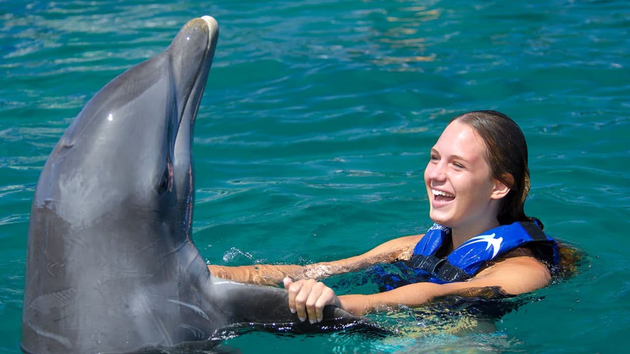 Punta Cana: Dolphin Explorer Swims and Encounters