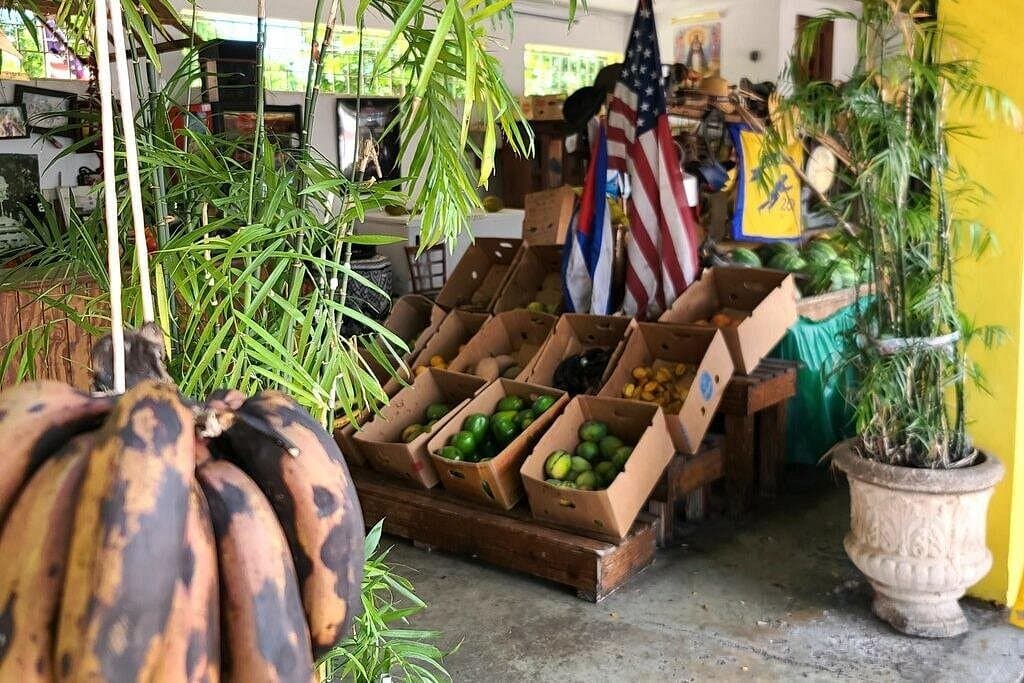 Little Havana: Authentic Food and Culture Walking Tour