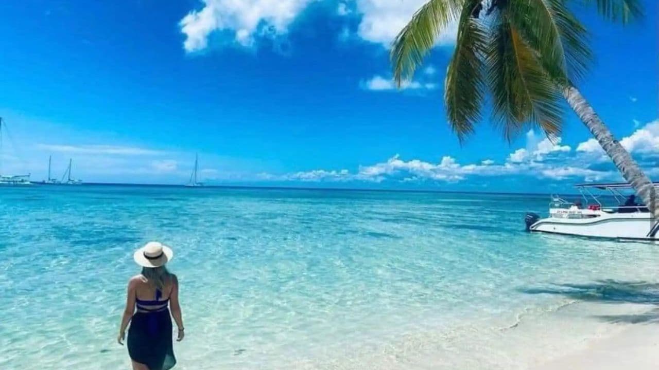 All-Inclusive Saona Island Day Trip from Punta Cana